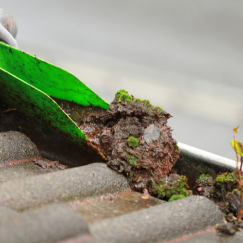What is Gutter Cleaning?